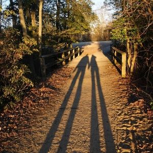 4x6 Original Photography Best Friends Silhouette